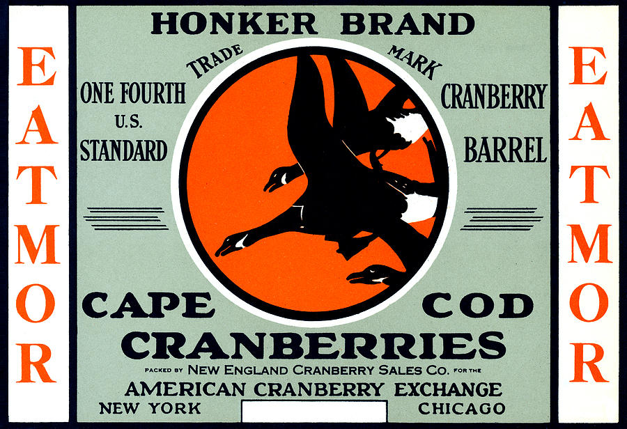 1900 Honker Cranberries Painting by Historic Image