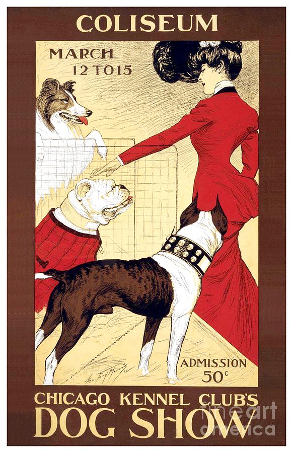 1903 - Chicago Kennel Clubs Dog Show Poster - Color Digital Art by John Madison
