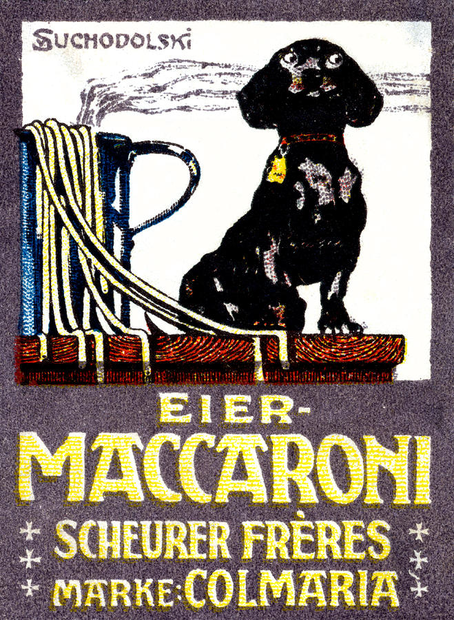 1910 Dachshund and Macaroni Poster    Painting by Historic Image