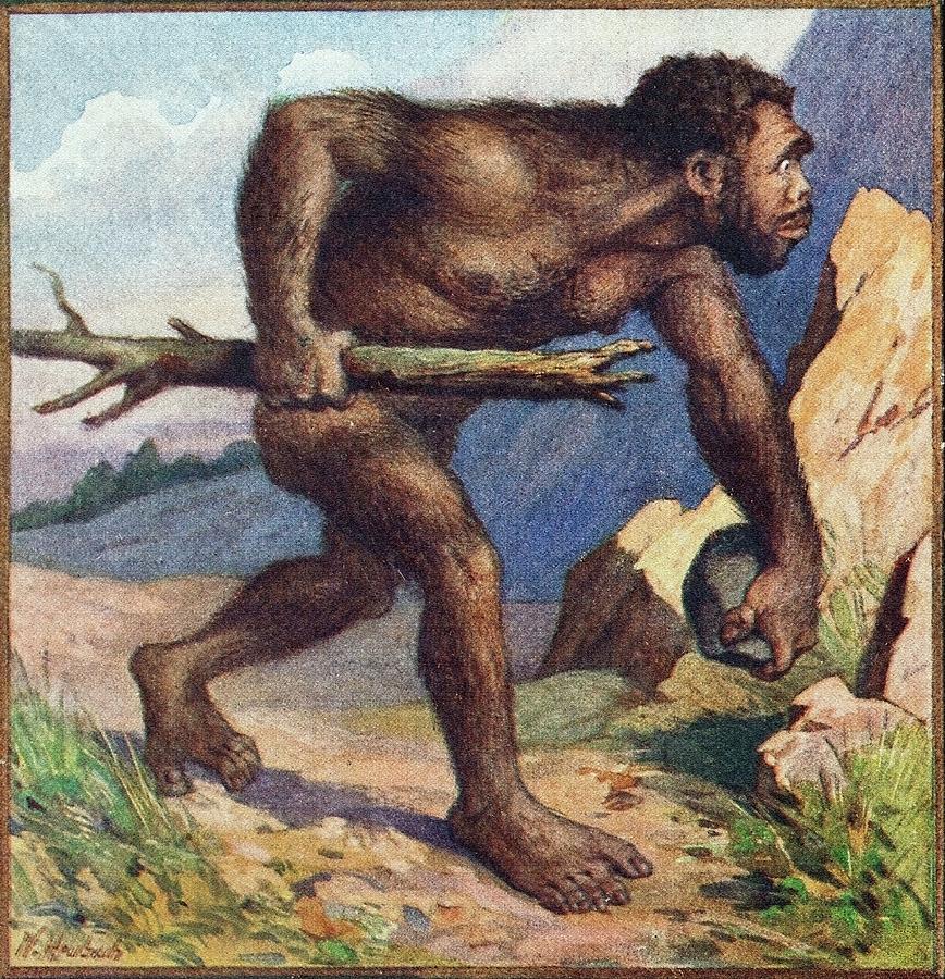 Prehistoric Photograph - 1910 Earliest Colour Neanderthal Print by Paul D Stewart