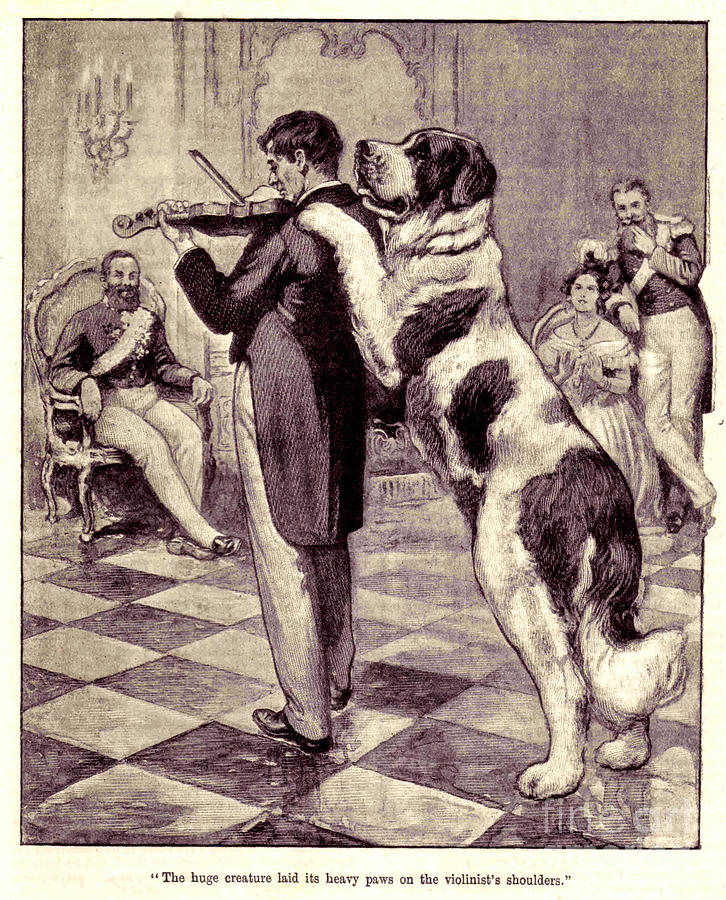 Dog Drawing - 1910s Uk Large Dogs Book Plate by The Advertising Archives