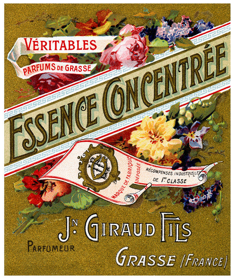 1915 Essence Concentree French Perfume Painting by Historic Image