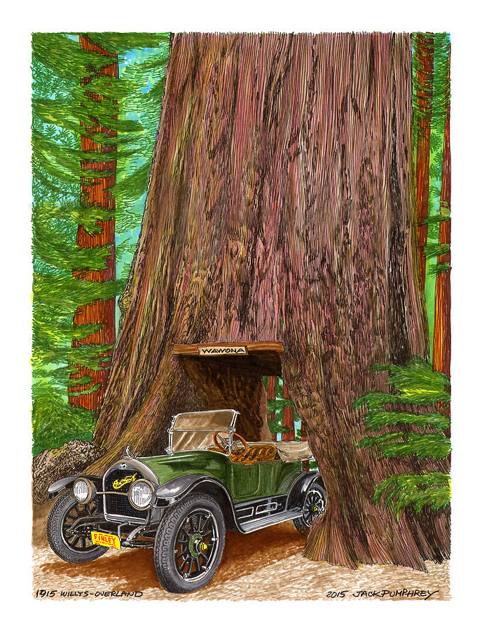 1915 Willys Overland transits Giant Redwood  Painting by Jack Pumphrey