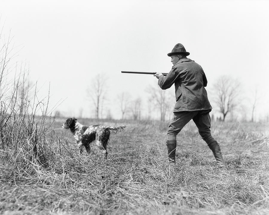 Black And White Photograph - 1920s Man Hunter With Shotgun In Field by Animal Images