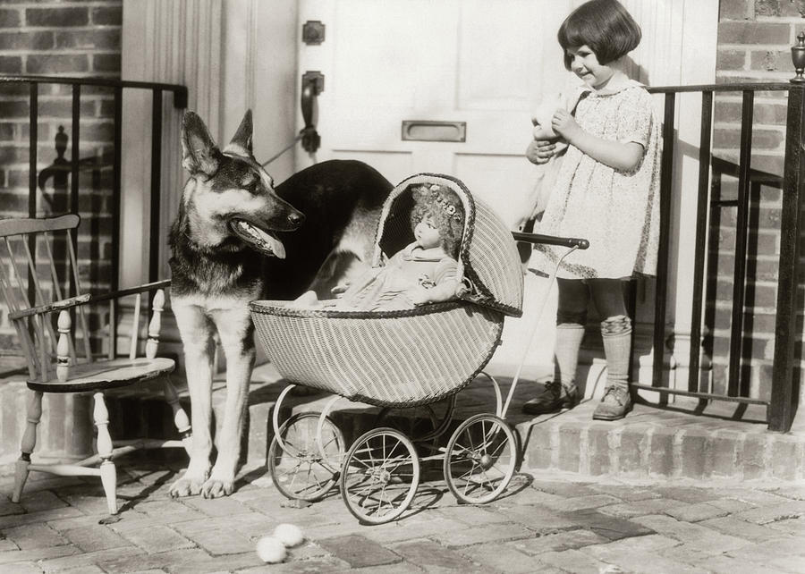 1920s Smiling Little Girl Watched Photograph by Animal Images - Fine ...