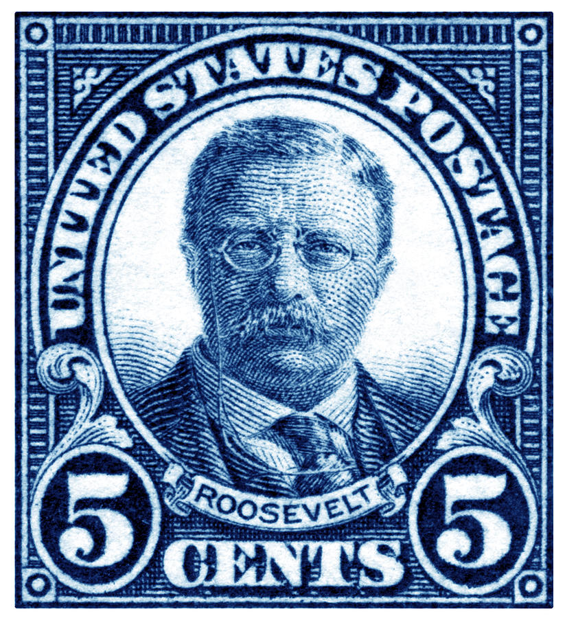 Theodore Roosevelt Painting - 1922 Theodore Roosevelt Stamp by Historic Image