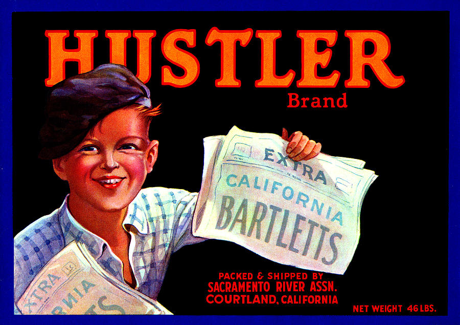 1925 Hustler Brand Pears Painting by Historic Image