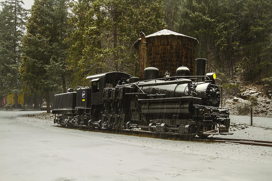 1927 Willamette Shay Photograph by Randy Wood