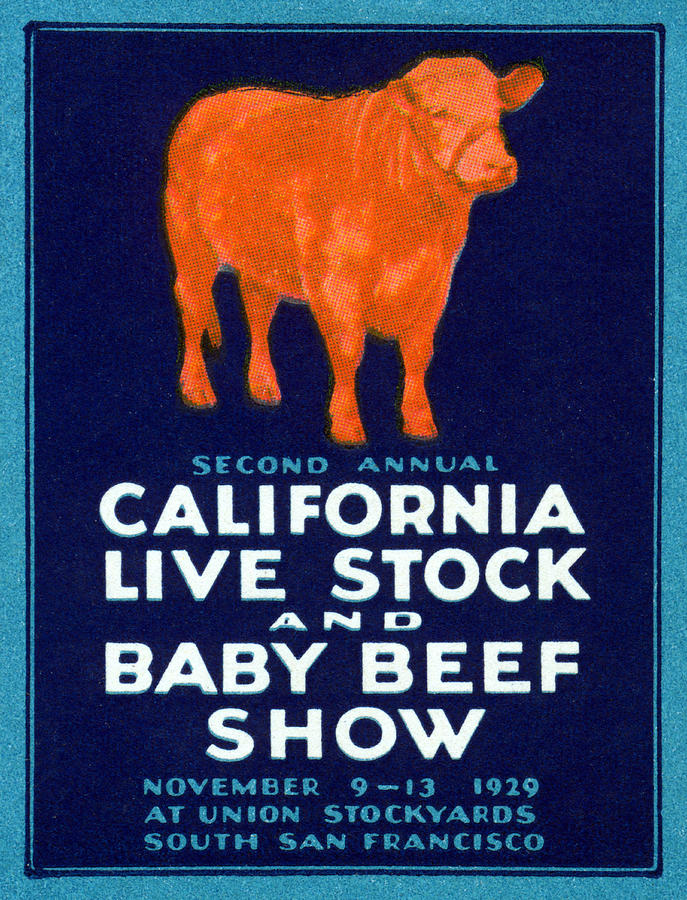 1929 California Beef Painting by Historic Image