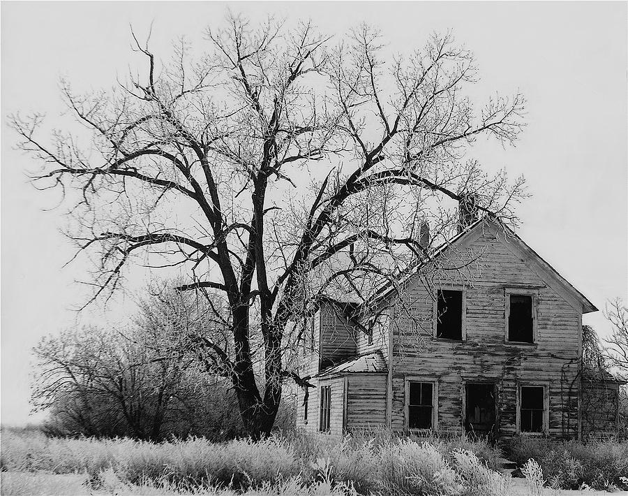 1930s abandoned farm house near Aberdeen South Dakota 1965 black and white Photograph by David Lee Guss