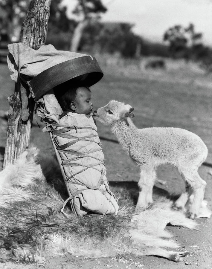 1930s Lamb Approaching Navajo Baby Photograph by Vintage Images 1930s Lamb Approaching Navajo Baby Photograph by Vintage Images