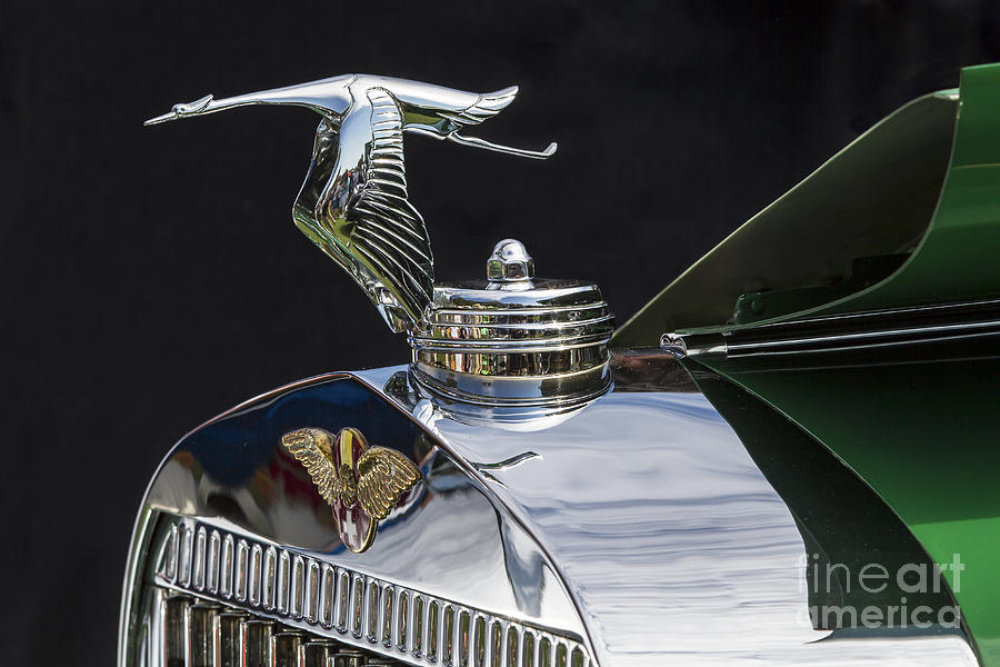 1934 Hispano Suiza J12 Photograph by Dennis Hedberg