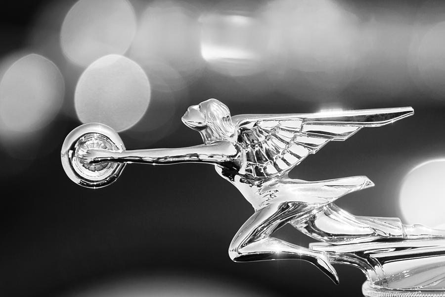Black And White Photograph - 1932 Packard 12 Convertible Victoria Hood Ornament -0251bw by Jill Reger