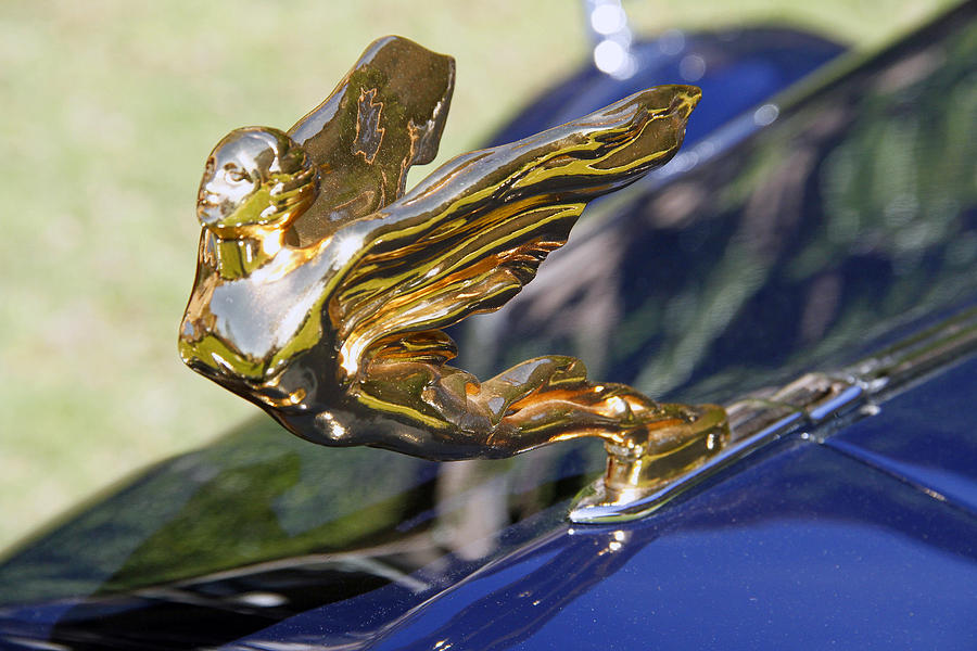 1933 Cadillac Hood Ornament  Photograph by Shoal Hollingsworth