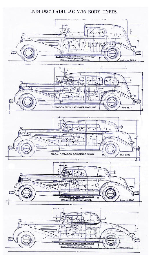 1934-37 Cadillac V-16 Body Types Blueprint Drawing by Jon Neidert