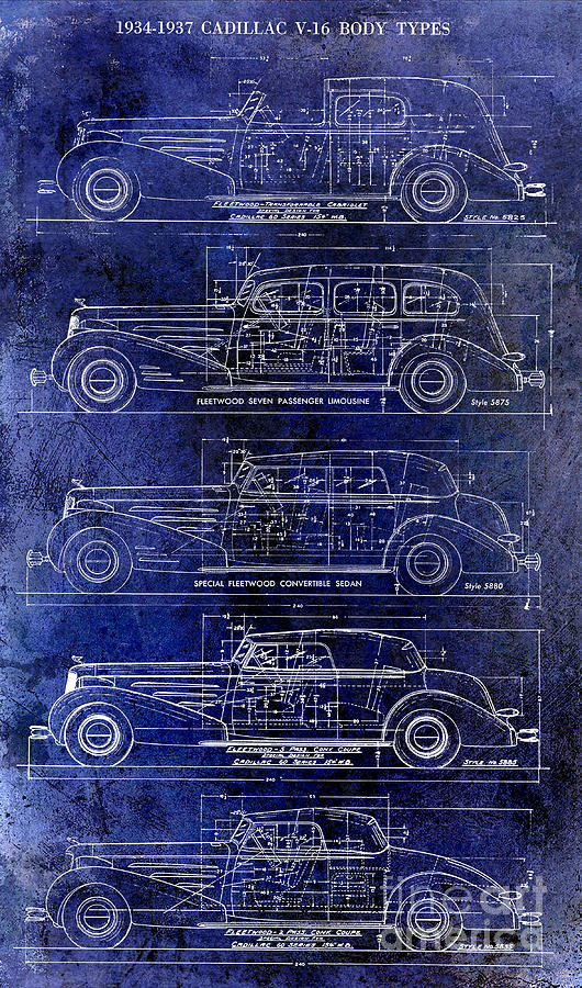 1934-37 Cadillac V-16 Body Types Drawing Blue Drawing by Jon Neidert