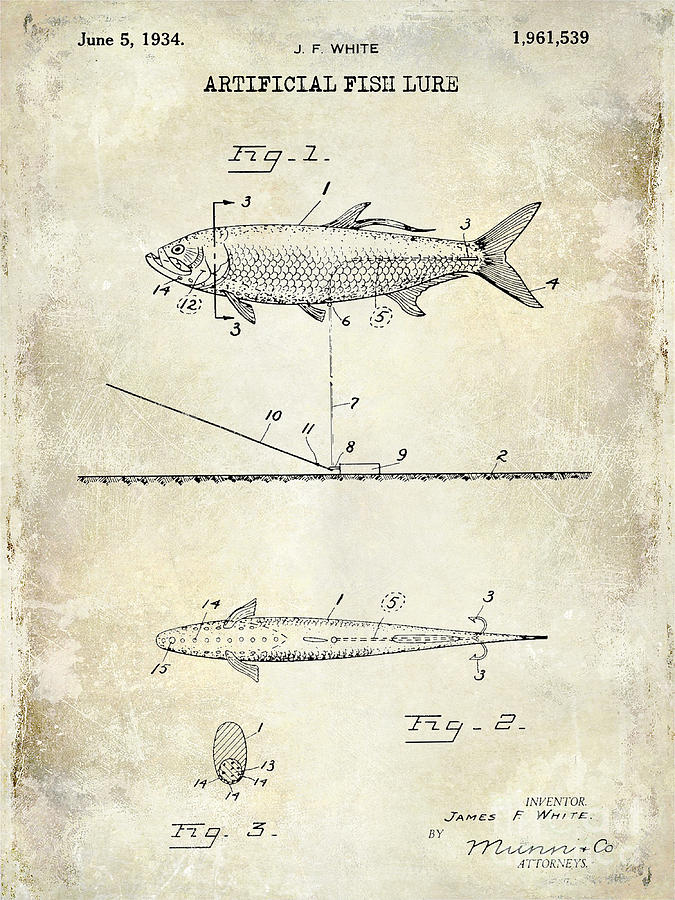 Bass Photograph - 1934 Artificial Fish Lure Patent Drawing by Jon Neidert