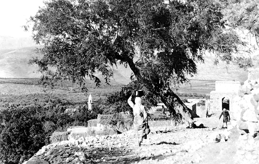 1934 Hateen Village Photograph by Munir Alawi