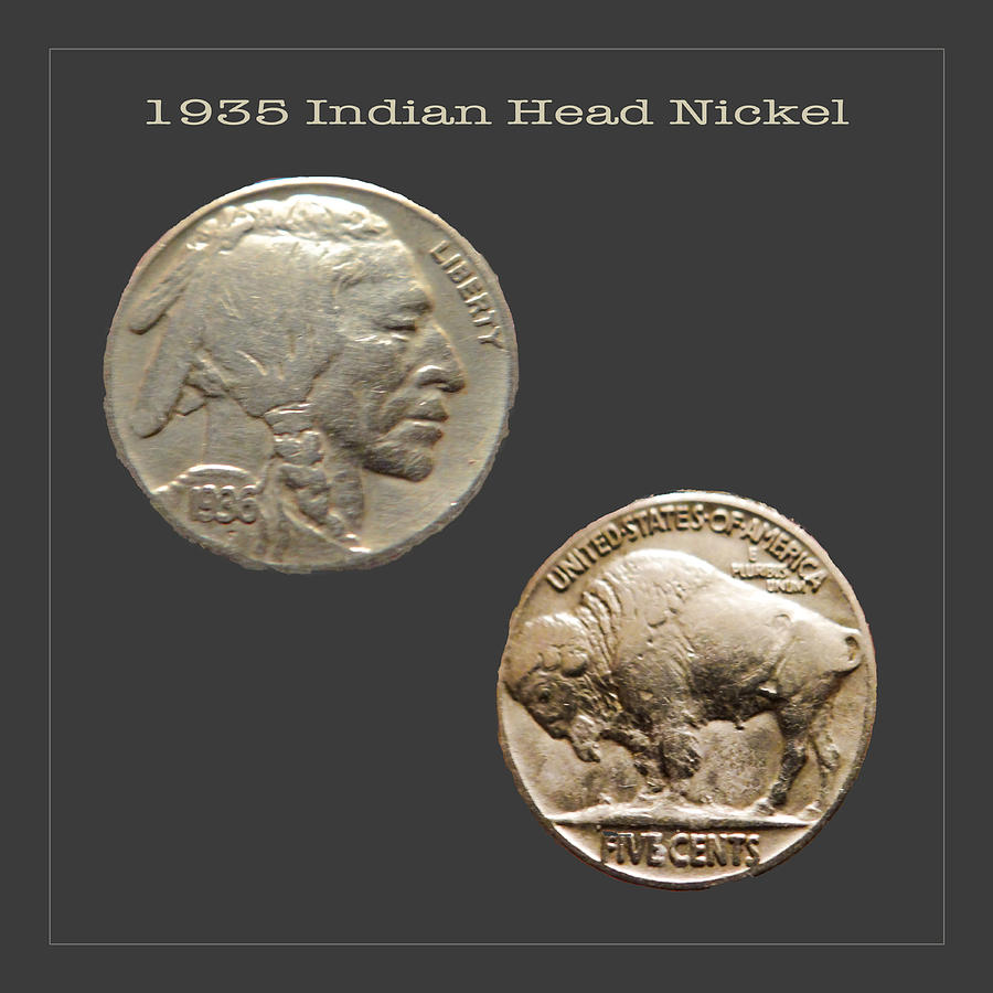 Buffalo Photograph - 1935 Indian Head Nickel by Dennis Dugan