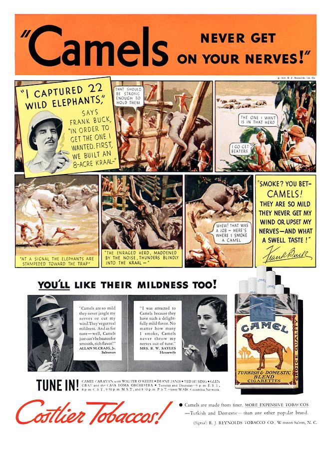 1936 - Camel Cigarettes Advertisement - Color Digital Art by John Madison