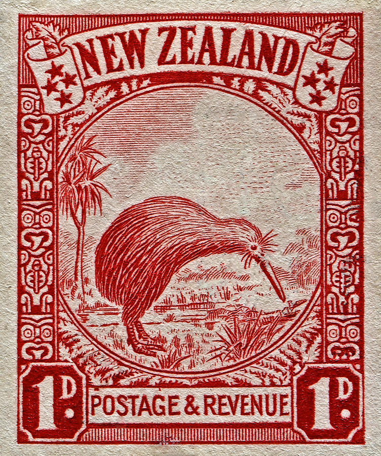 1936 New Zealand Kiwi Stamp Photograph by Bill Owen