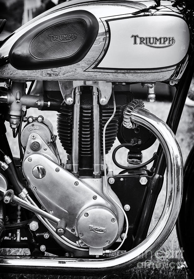 1936 Triumph Tiger 80 Monochrome Photograph by Tim Gainey