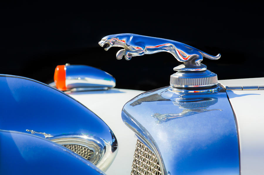 1937 Jaguar Prototype Hood Ornament -386c46 Photograph by Jill Reger ...