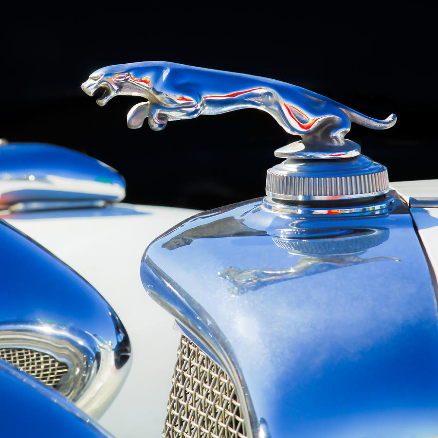 1937 Jaguar Prototype Hood Ornament -386c55 Photograph by Jill Reger ...