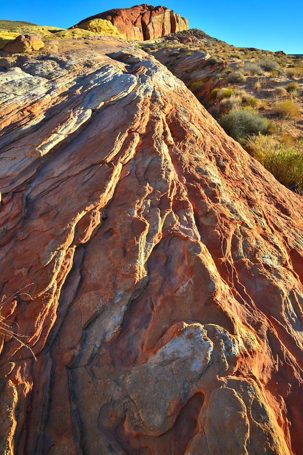 Valley of Fire #195 Photograph by Ray Mathis