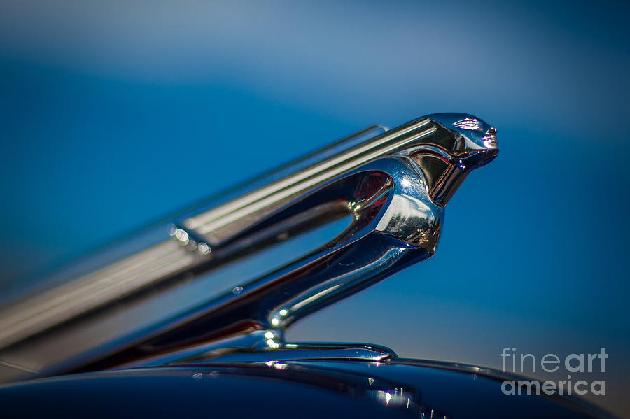 Car Photograph - 1940 Chevrolet Hood Ornament by T Lowry Wilson