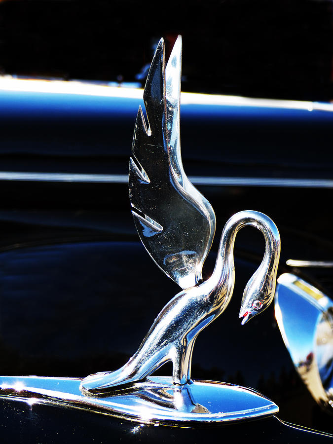 1940 Packard Swan Photograph by Pamela Patch