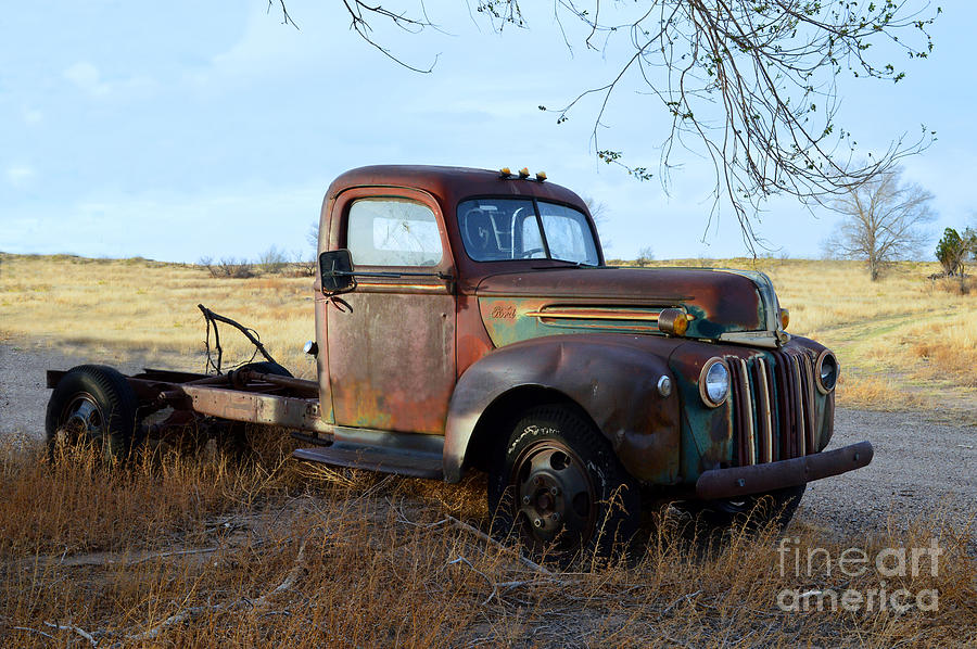 1940s Ford Farm Truck Photograph by Catherine Sherman