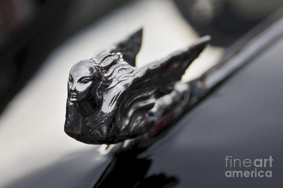 1941 Cadillac Hood Ornament Photograph by Dennis Hedberg