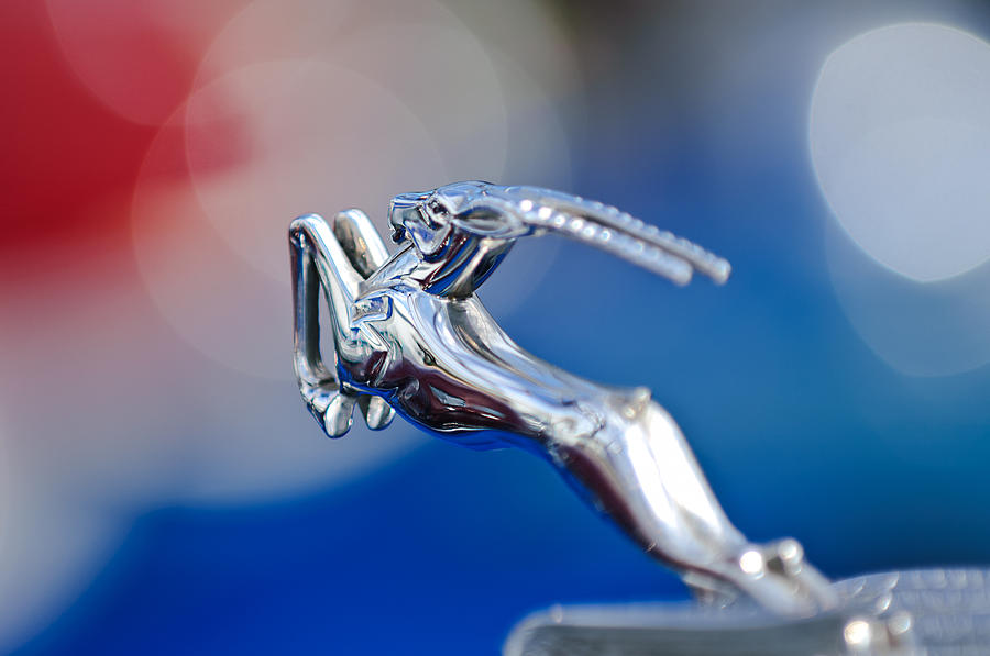 Car Photograph - 1948 Chrysler Town and Country Convertible Hood Ornament by Jill Reger