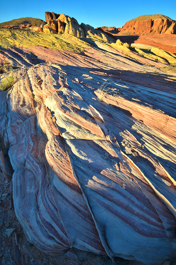 Valley of Fire #185 Photograph by Ray Mathis