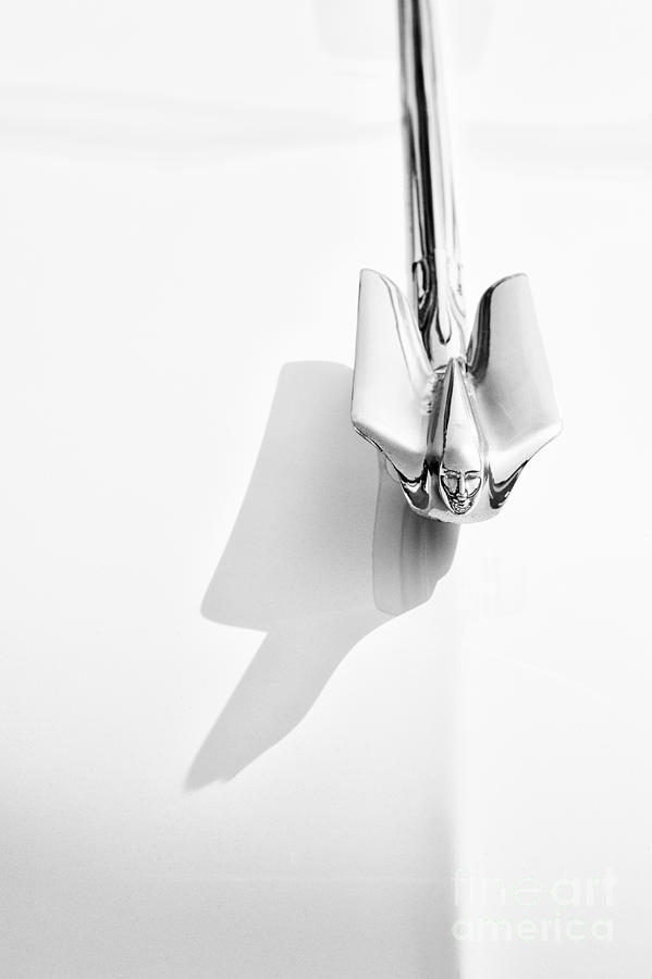 1950 Cadillac Hood Ornament Photograph by Tim Gainey