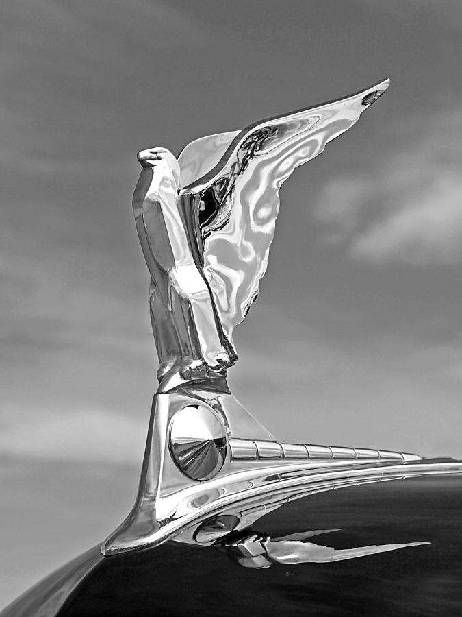 1950 Ford Hood Ornament in Black and White Photograph by Gill Billington