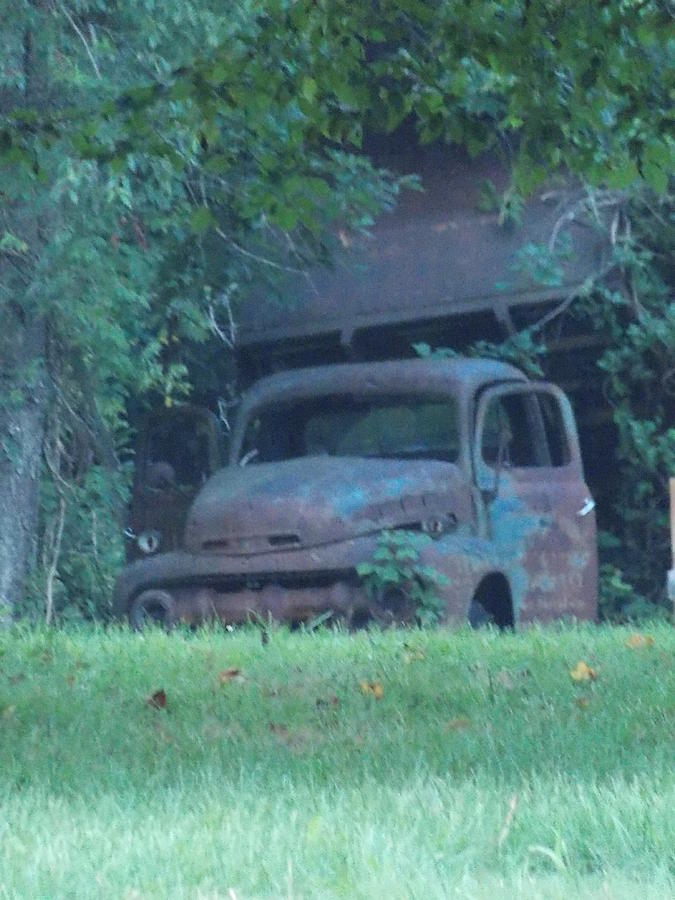 1950 Ford Pickup Photograph - 1950 Ford Put To Pasture by Gypsie Rose