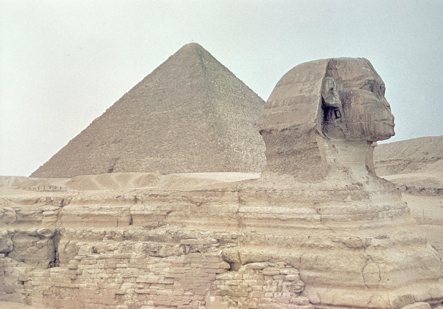 Magic Photograph - 1950s Great Pyramid Of Giza by Vintage Images