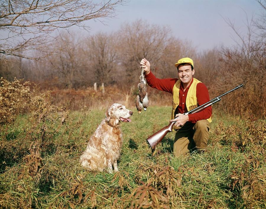 Bird Photograph - 1950s Man With Hunting Dog And Gun by Vintage Images