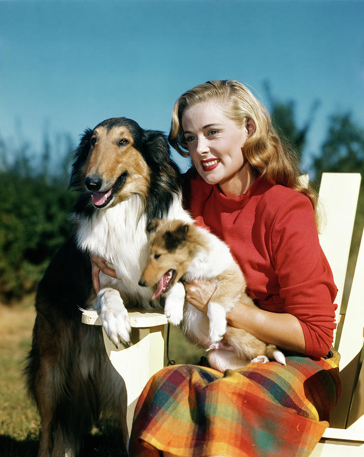 Vertical Photograph - 1950s Smiling Woman Sitting In Chair by Animal Images Vertical Photograph - 1950s Smiling Woman Sitting In Chair by Animal Images