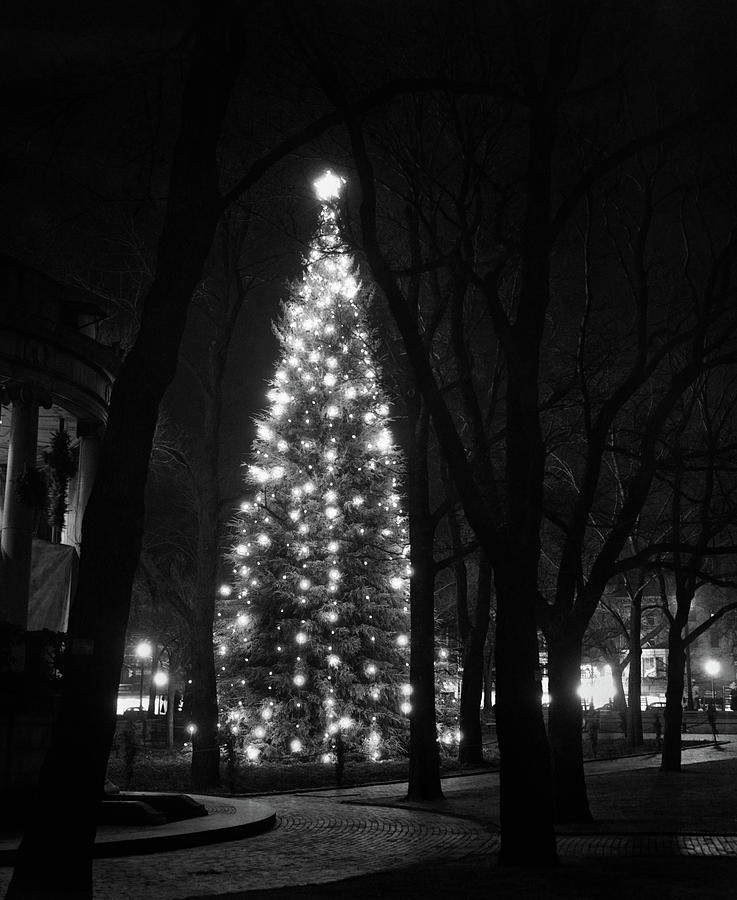 1950s Tall Christmas Tree Lit Photograph by Vintage Images - Fine Art ...