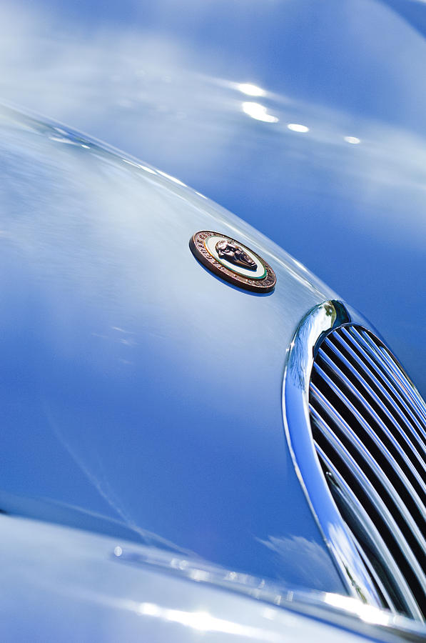 1951 Jaguar Grille Emblem Photograph by Jill Reger