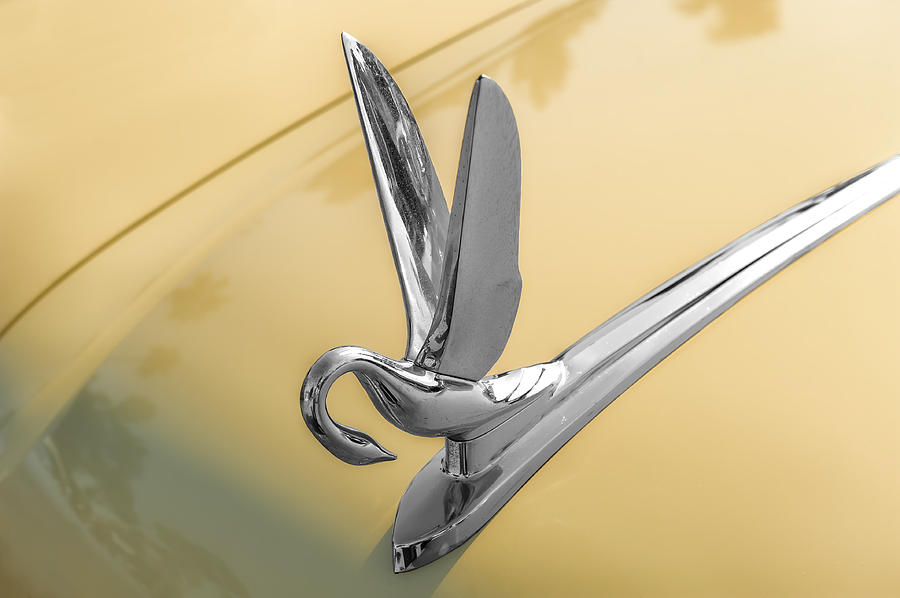 1951 Packard Hood Ornament Photograph by Frank J Benz - Fine Art America