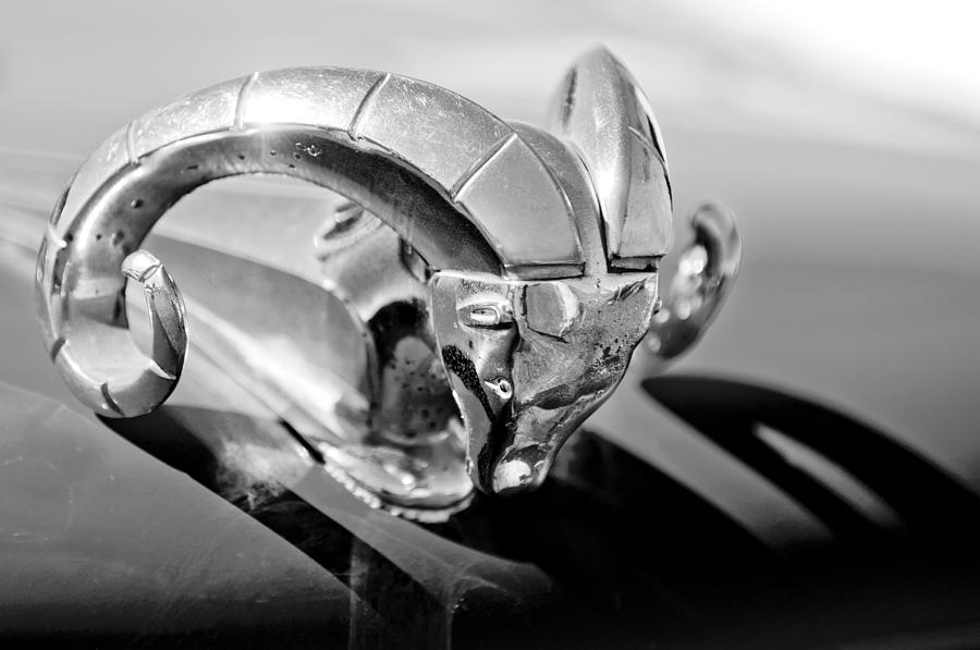 1952 Dodge Ram Hood Ornament Photograph by Jill Reger