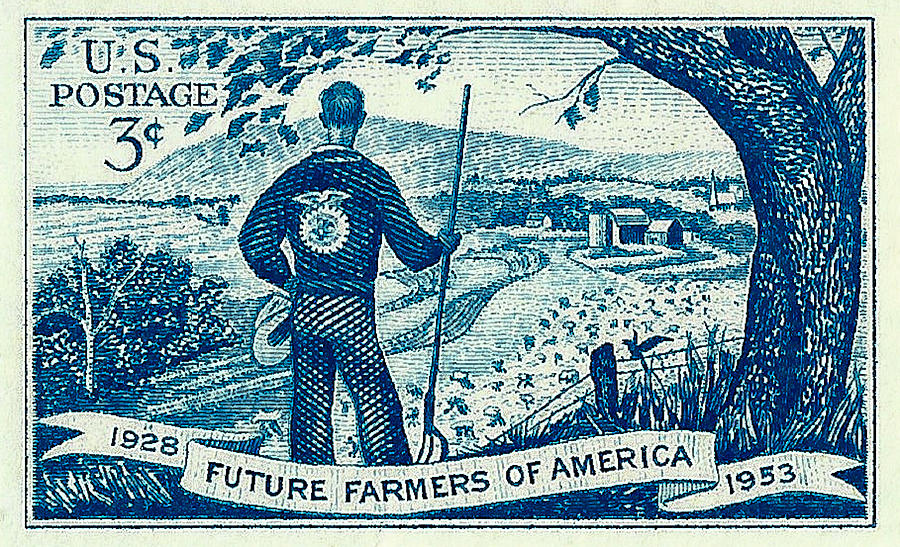 1953 Future Farmers of America Postage Stamp Photograph by David Patterson
