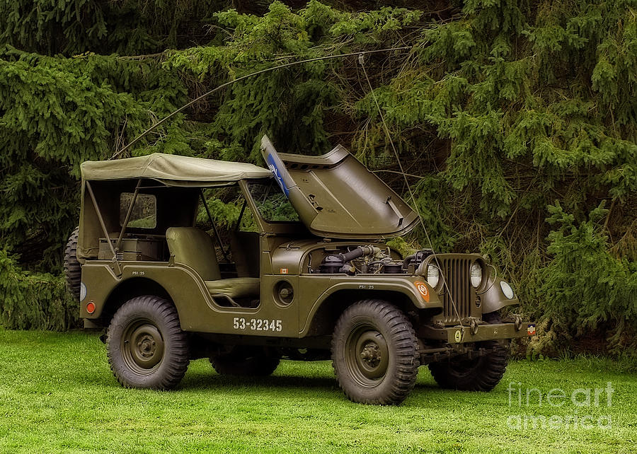 Tree Photograph - 1953 M38A1 Army Jeep by Inspired Nature Photography Fine Art Photography
