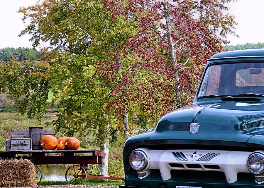 1954 Ford Truck Photograph by Janice Drew