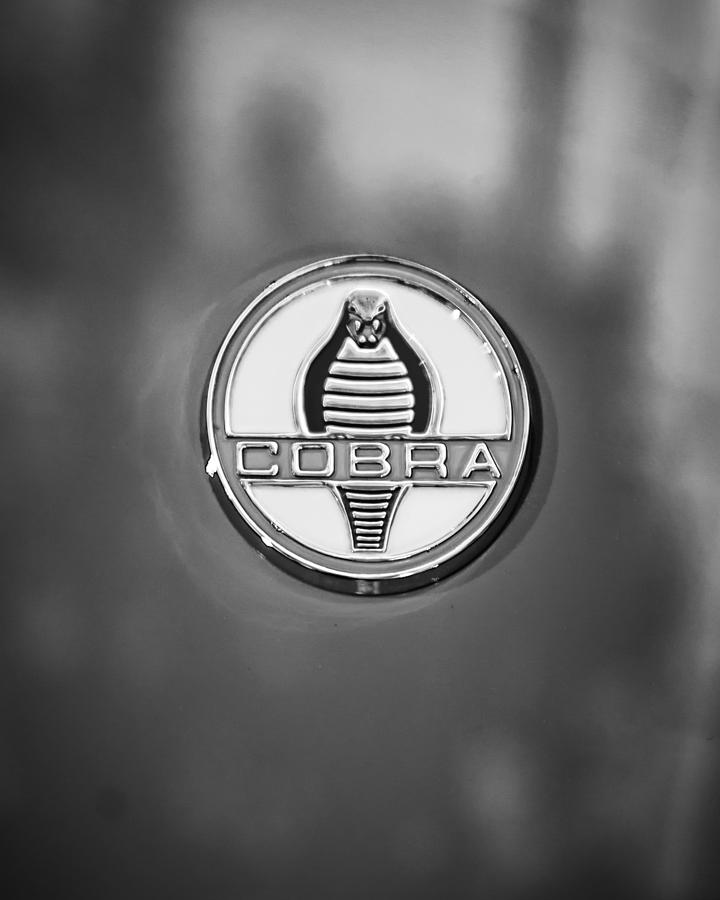 1955 Shelby 427 Cobra Emblem -0124bw45 Photograph by Jill Reger