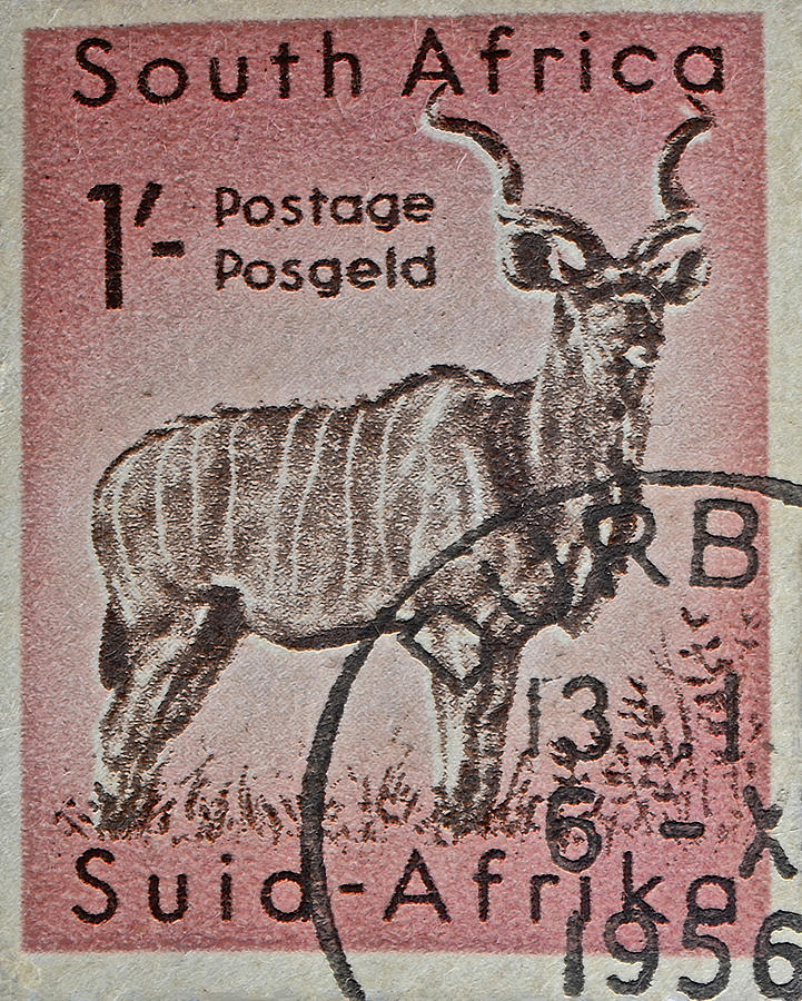 1956 South African Stamp - Durban Postmark Photograph by Bill Owen